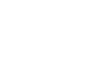 imazin logo